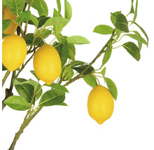 Konstgjord citrongren med blad och gula frukter