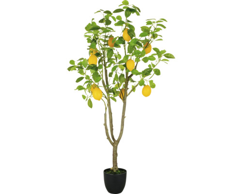 Konstväxt Citronträd 145cm grön i kruka
