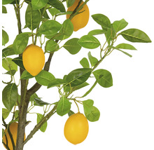 Konstgjord citronträd med blad och citroner som dekoration