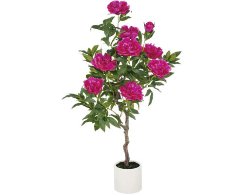 Konstväxt Pion uppstammad 120cm fuchsia i kruka