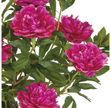 Dekorativ konstgjord blomma med rosa blommor och gröna blad.