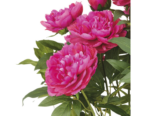 Konstgjorda pioner med gröna blad