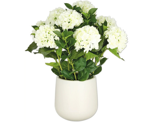 Konstväxt Hortensia arrangemang 70cm cremegrön i kruka