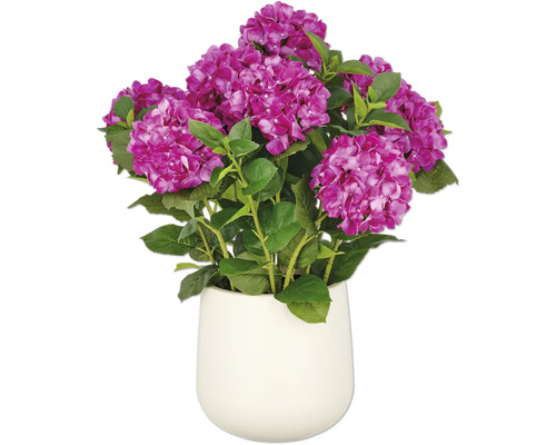 Konstväxt Hortensia arrangemang 70cm lila i kruka
