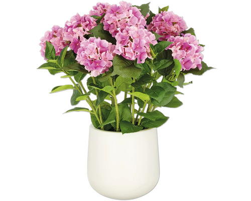 Konstväxt Hortensia arrangemang 70cm rosa i kruka