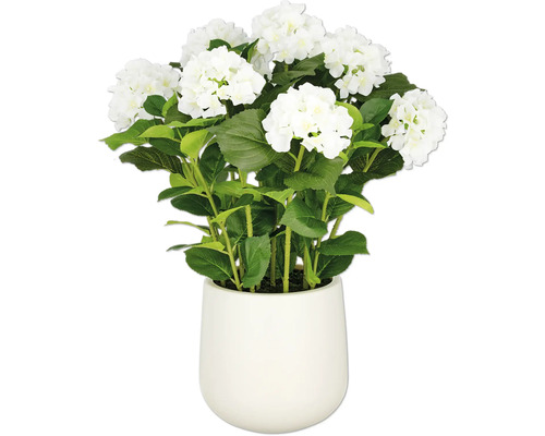 Konstväxt Hortensia arrangemang 70cm vit i kruka