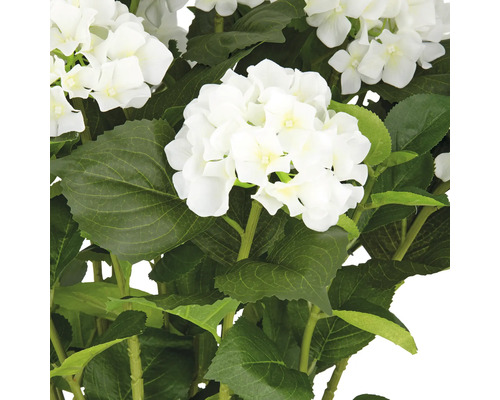 Konstgjorda hortensiablommor med gröna blad