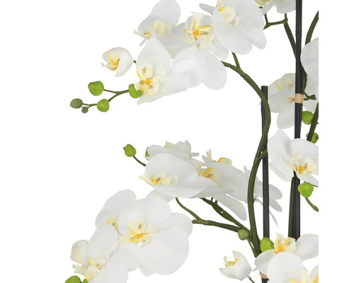 Dekorativa vita orkidéblommor på en stjälk