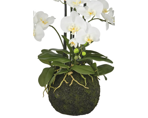 Konstgjord orkidé med vita blommor och gröna blad i en mossbeklädd kruka.