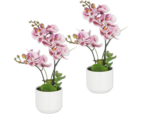 Konstväxt Phalaenopsis 30cm mörkrosa i kruka 2-pack