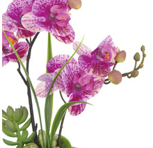 Konstgjord orkidé med lila blommor och gröna blad som dekoration för inomhusbruk