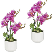 Två konstgjorda orkidéer med prickiga blommor i vita krukor