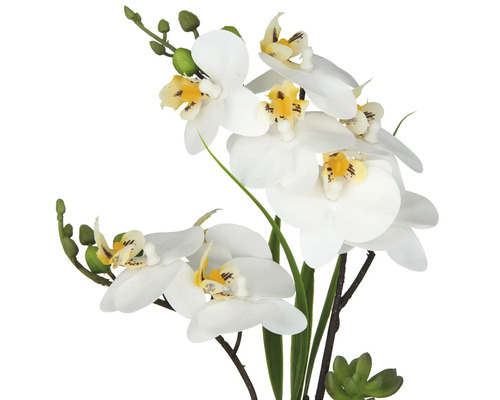 Konstgjord orkidé med vita blommor