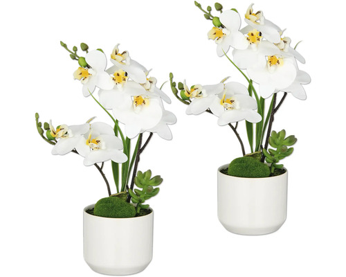 Konstväxt Phalaenopsis 30cm vit i kruka 2-pack