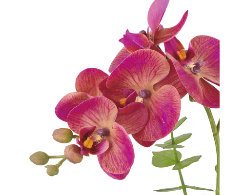 Konstgjord orkidé med blommor och knoppar