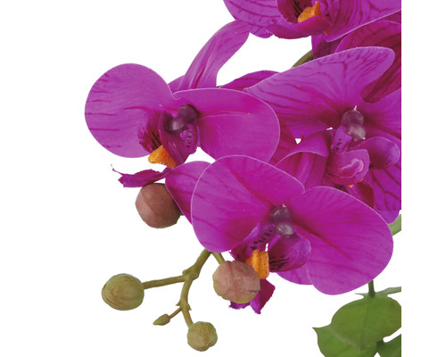 Konstgjord orkidé med blommor och knoppar
