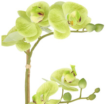 Konstgjord orkidé med gröna blommor och knoppar