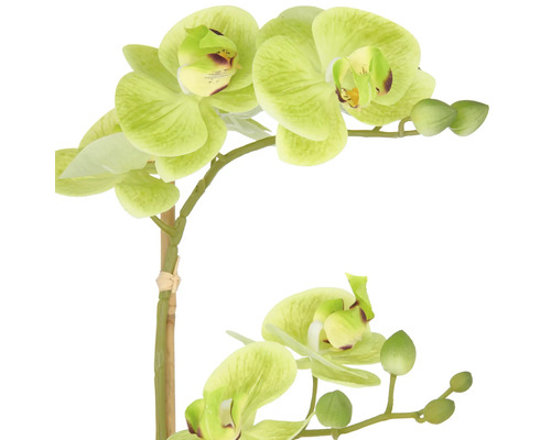 Konstgjord orkidé med gröna blommor och knoppar