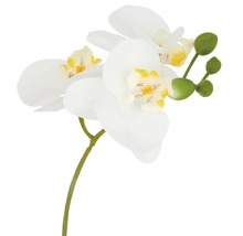 Konstgjord orkidé med blommor och knoppar