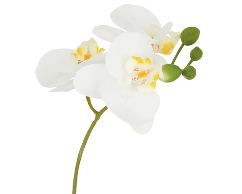 Konstgjord orkidé med blommor och knoppar