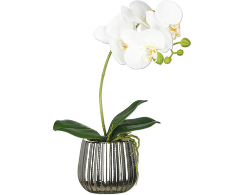 Konstväxt Phalaenopsis 36cm vit i keramikkruka