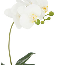 Konstgjord vit orkidé med blad och blomknoppar