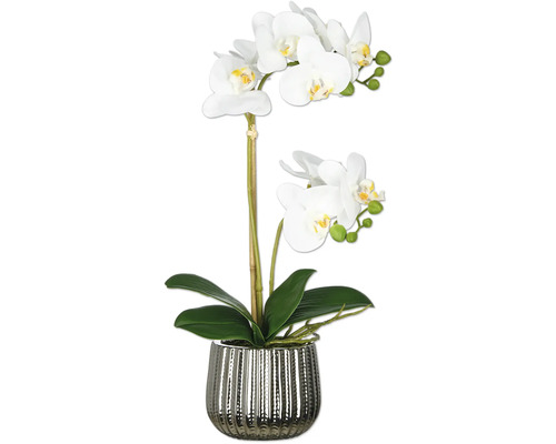 Konstväxt Phalaenopsis 48cm vit i kruka