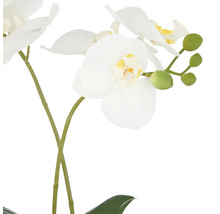 Konstgjord orkidé med vita blommor