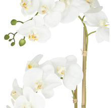 Konstgjord orkidé med vita blommor