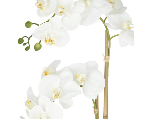 Konstgjord orkidé med vita blommor