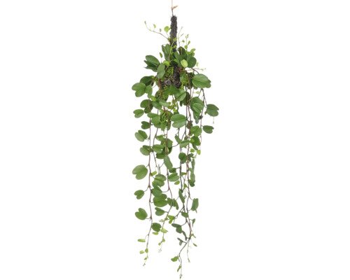 Konstväxt Bauhinia hängande ca 90cm grön