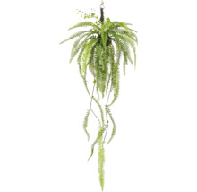 Hängande växt med gröna blad