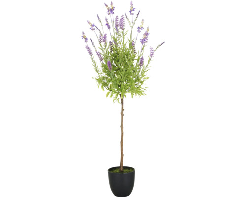 Konstväxt lavendel uppstammad ca 95cm lila i kruka