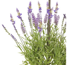 Konstgjord lavendel med gröna blad