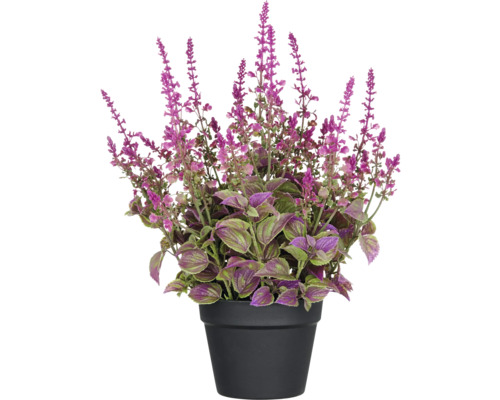 Konstväxt salvia superba XL ca 50cm rosa i kruka