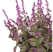 Konstgjord lavendel med lila blommor och gröna blad