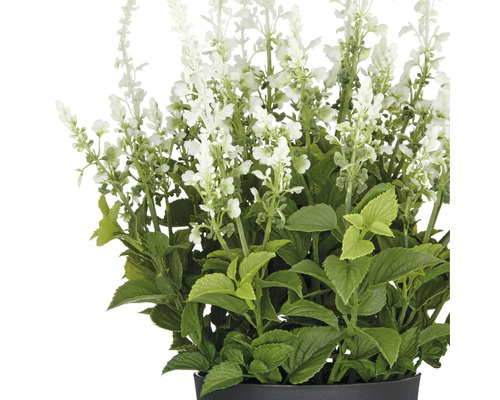Konstgjord växt salvia med vita blommor och gröna blad