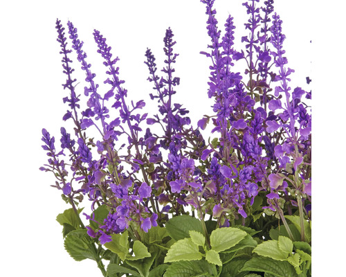 Konstgjord lavendel med gröna blad