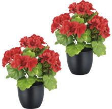 Konstväxt pelargon 26cm röd i kruka 2-pack