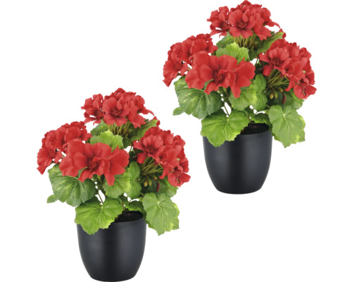 Konstväxt pelargon 26cm röd i kruka 2-pack