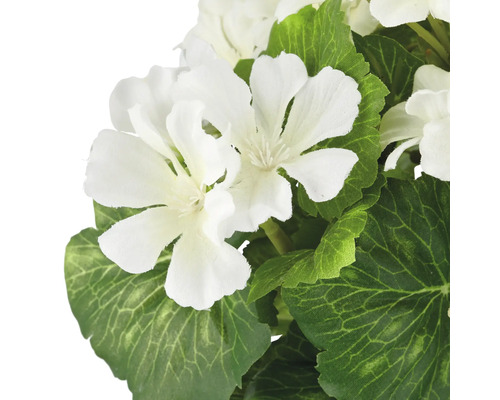 Konstgjord pelargon med vita blommor och gröna blad