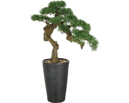 Konstväxt bonsai zeder 80cm grön i kruka