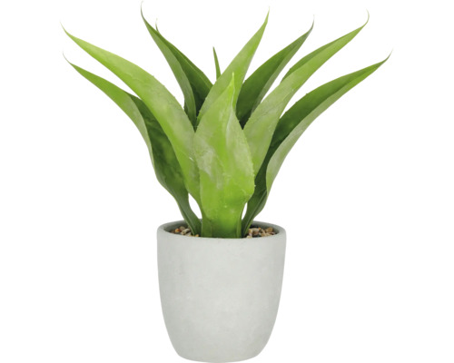 Konstväxt Agave 55cm grön i kruka