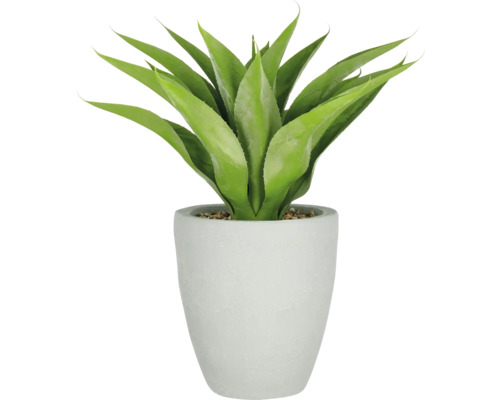 Konstväxt Agave 75cm grön i kruka