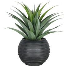 Konstgjord agave i en kruka