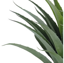 Konstväxt Agave 75cm grön i kruka