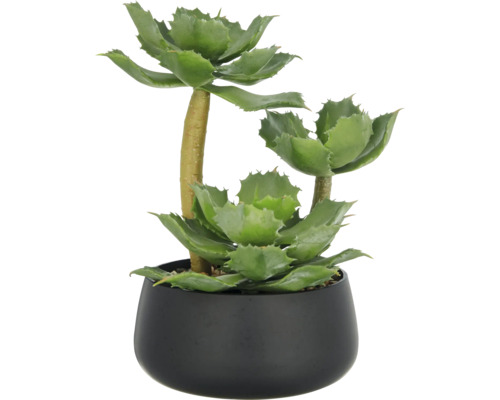 Konstväxt Echeveria 28cm grön i skål