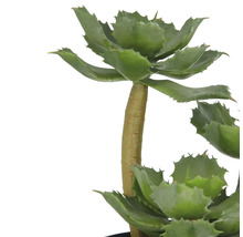 Konstväxt Echeveria 28cm grön i skål
