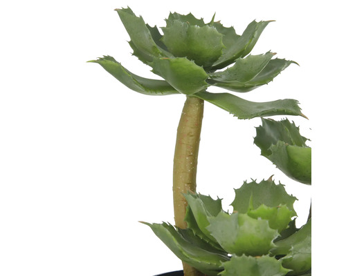 Konstgjord agave för inredning