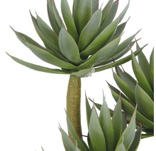 Konstgjord agave med gröna blad och brun stam